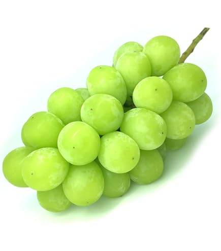 Amazon.co.jp: 【Amazon.co.jp限定】【2026年先行予約】 NAKANO GRAPE
